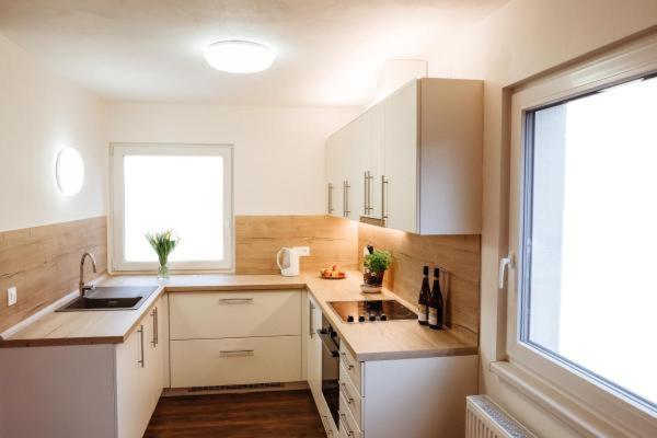 Sojka Apartmany Jeseniky Sobotín Zewnętrze zdjęcie